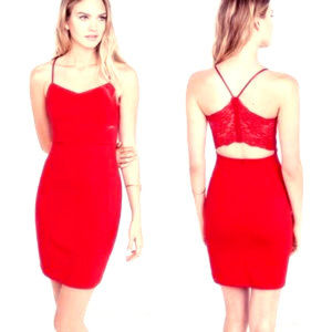 NWT Express Lace Insert Dress